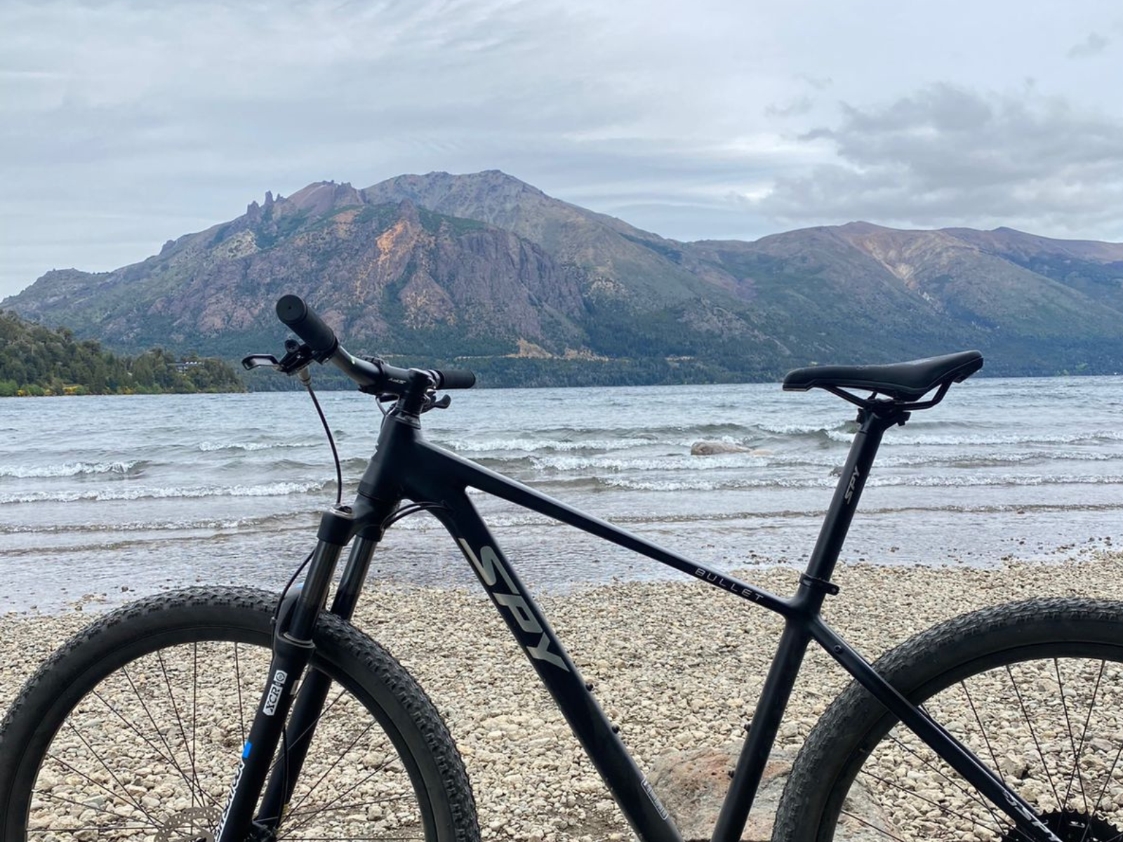 Diseño sin título - 2025-12-02T212749.545