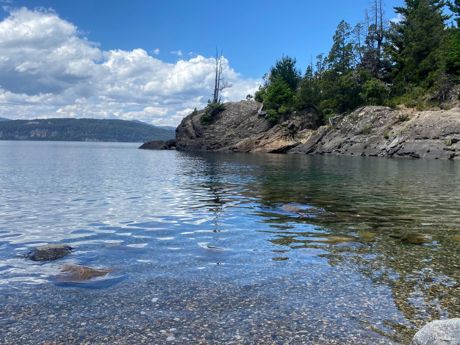 Diseño sin título - 2025-12-02T212843.964